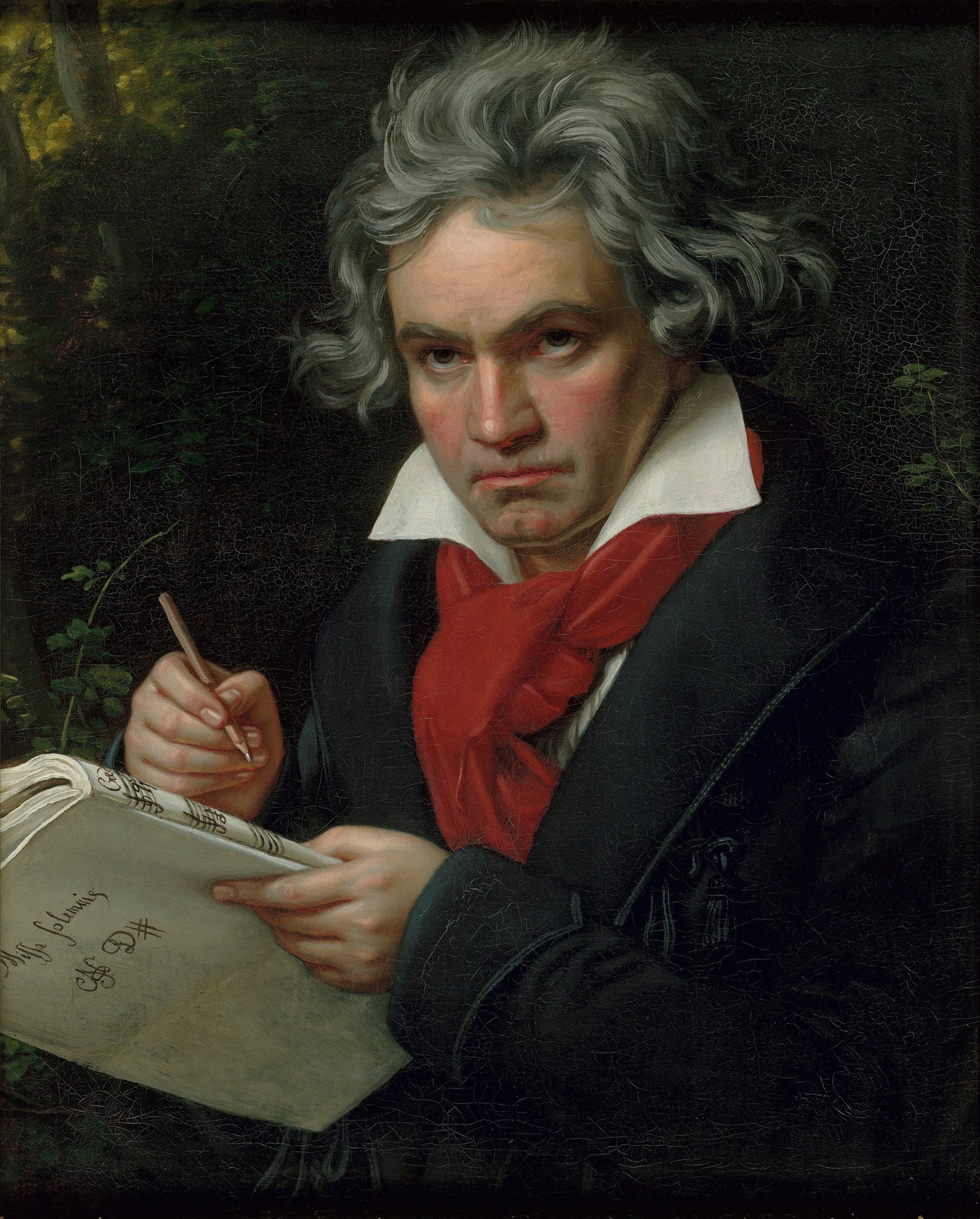 https://en.wikipedia.org/wiki/Beethoven_with_the_Manuscript_of_the_Missa_Solemnis#/media/File:Joseph_Karl_Stieler's_Beethoven_mit_dem_Manuskript_der_Missa_solemnis.jpg